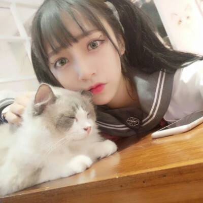 玲珑幻境官方版